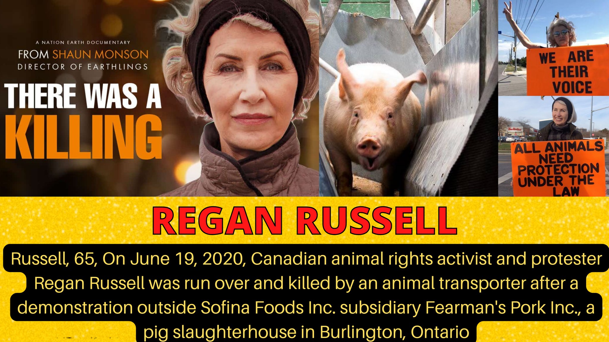Animal Save Movement