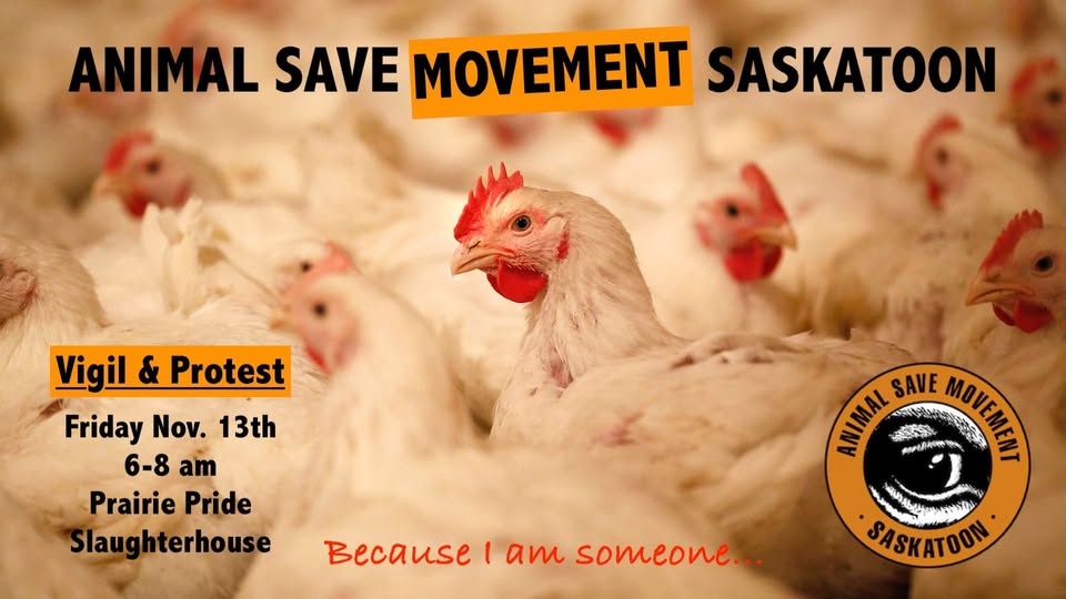 Animal Save Movement