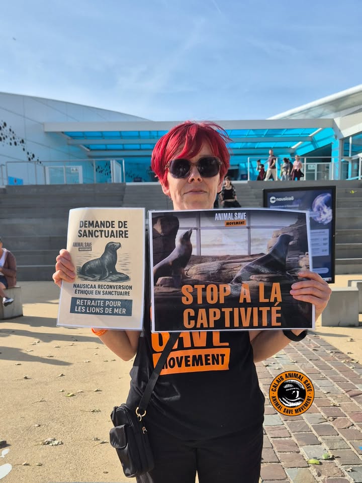 Animal Save Movement