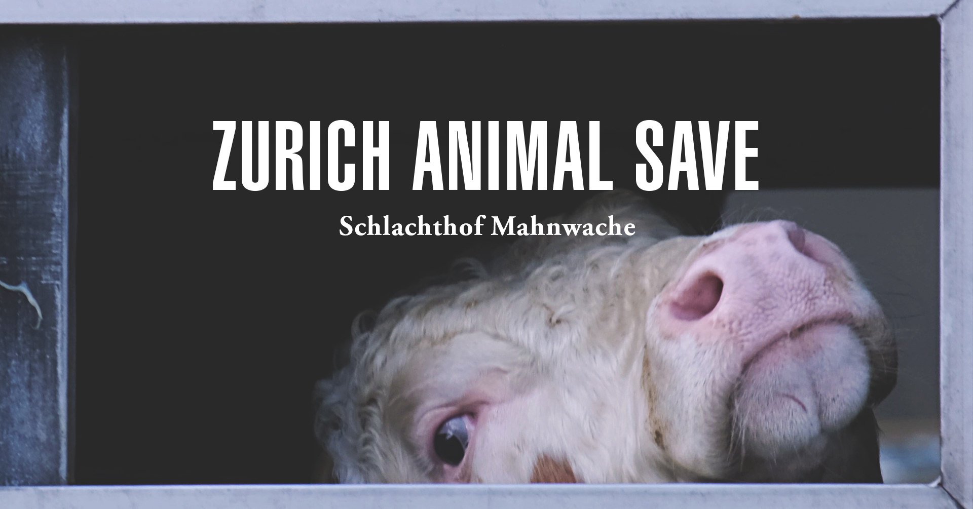 Animal Save Movement