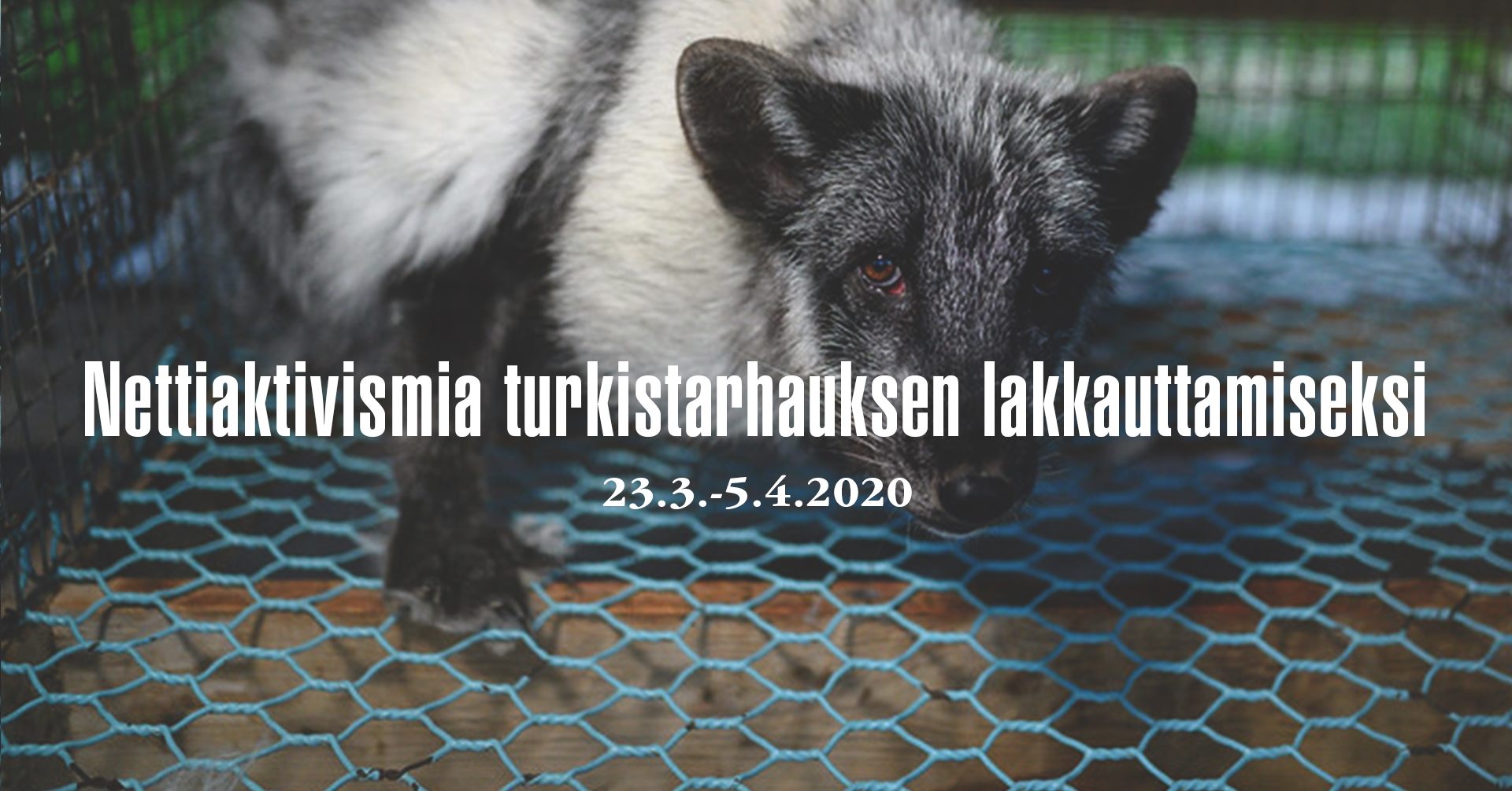 Animal Save Movement