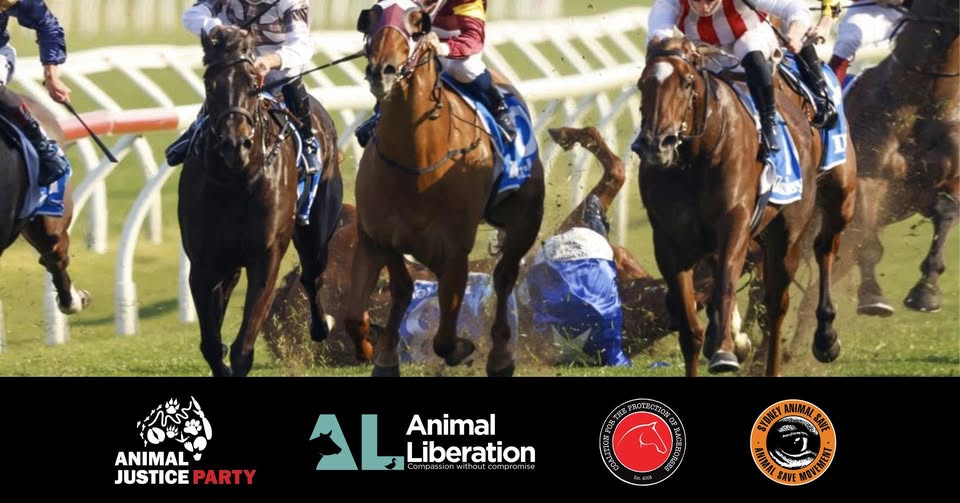 Animal Save Movement