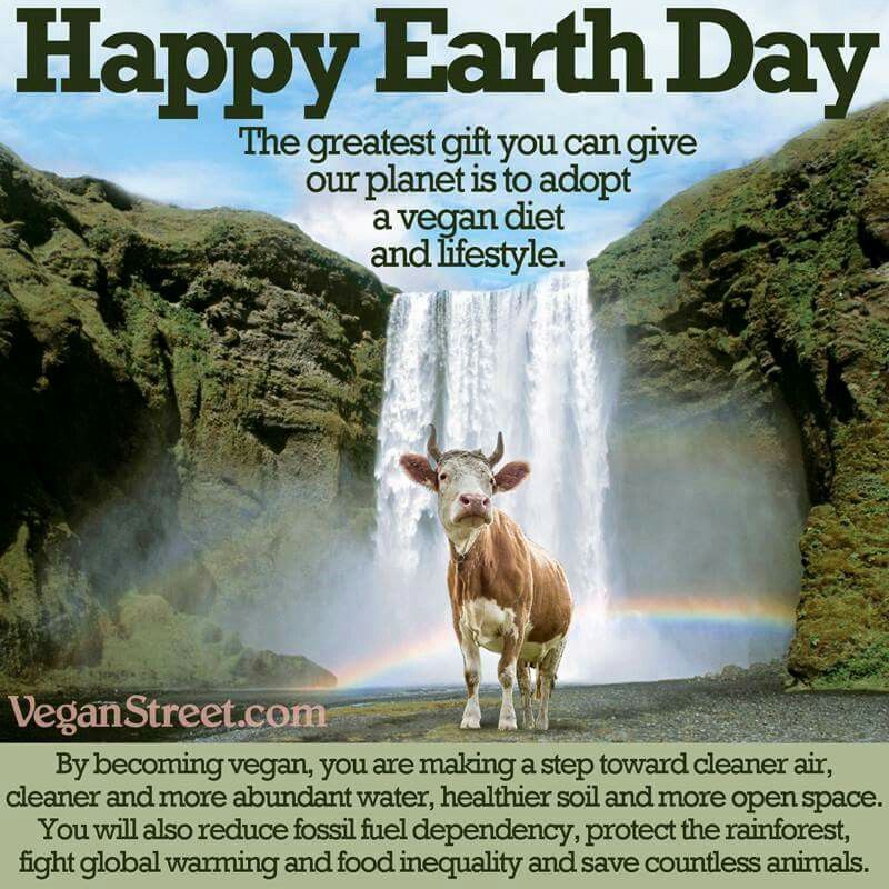Animal Save Movement