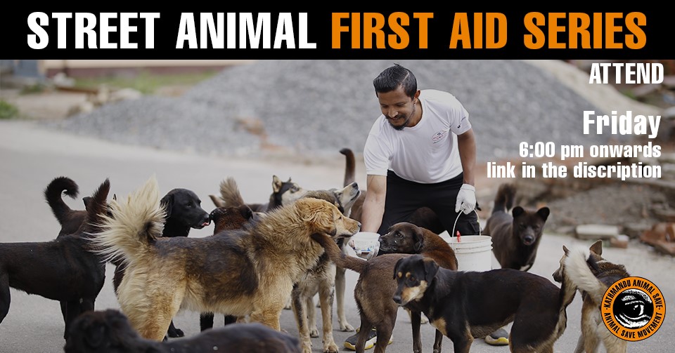 Animal Save Movement