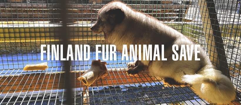 Animal Save Movement