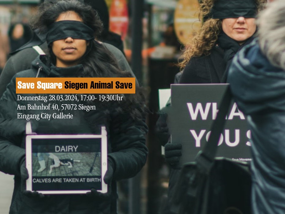 Animal Save Movement