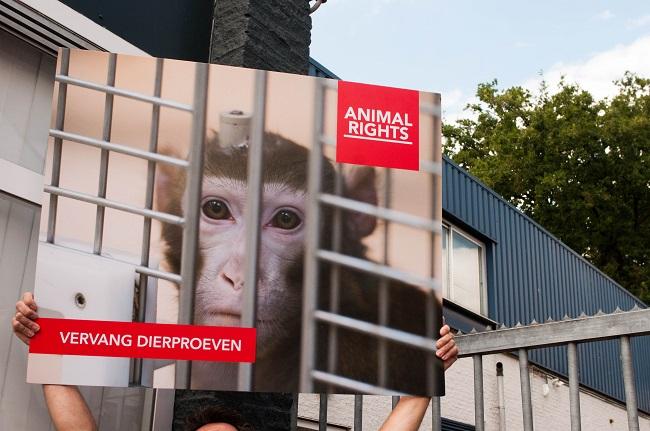 Animal Save Movement
