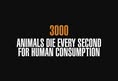 Animal Save Movement