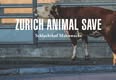 Animal Save Movement