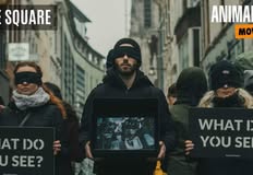 Animal Save Movement