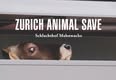 Animal Save Movement