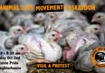 Animal Save Movement