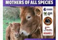 Animal Save Movement