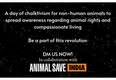 Animal Save Movement