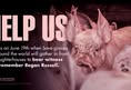 Animal Save Movement