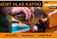 Animal Save Movement