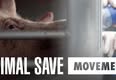 Animal Save Movement
