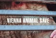 Animal Save Movement