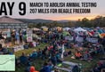 Animal Save Movement