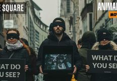 Animal Save Movement