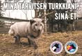 Animal Save Movement