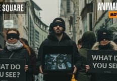 Animal Save Movement