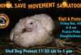Animal Save Movement