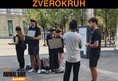 Animal Save Movement