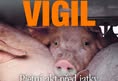 Animal Save Movement
