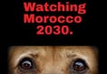 Animal Save Movement