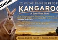 Animal Save Movement