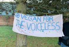 Animal Save Movement