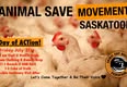 Animal Save Movement