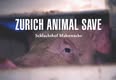 Animal Save Movement