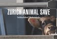 Animal Save Movement