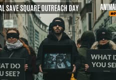 Animal Save Movement