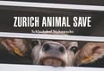 Animal Save Movement