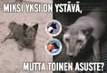 Animal Save Movement