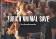 Animal Save Movement
