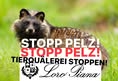 Animal Save Movement