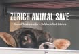 Animal Save Movement