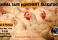 Animal Save Movement