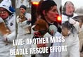 Animal Save Movement