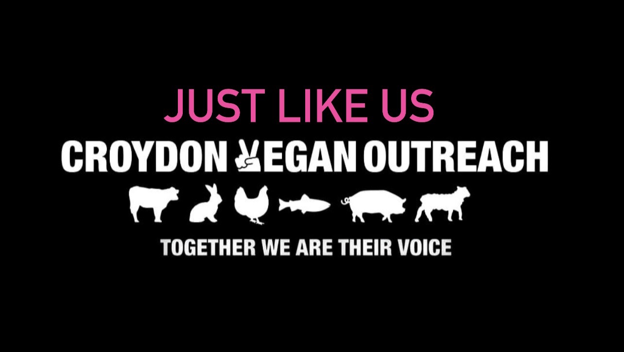 Croydon Vegan Outreach