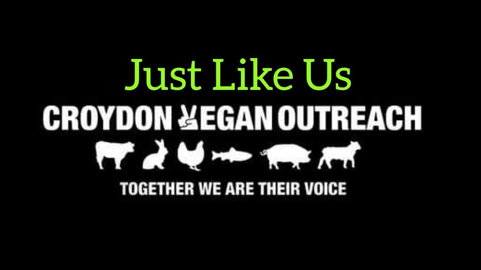 Croydon Vegan Outreach