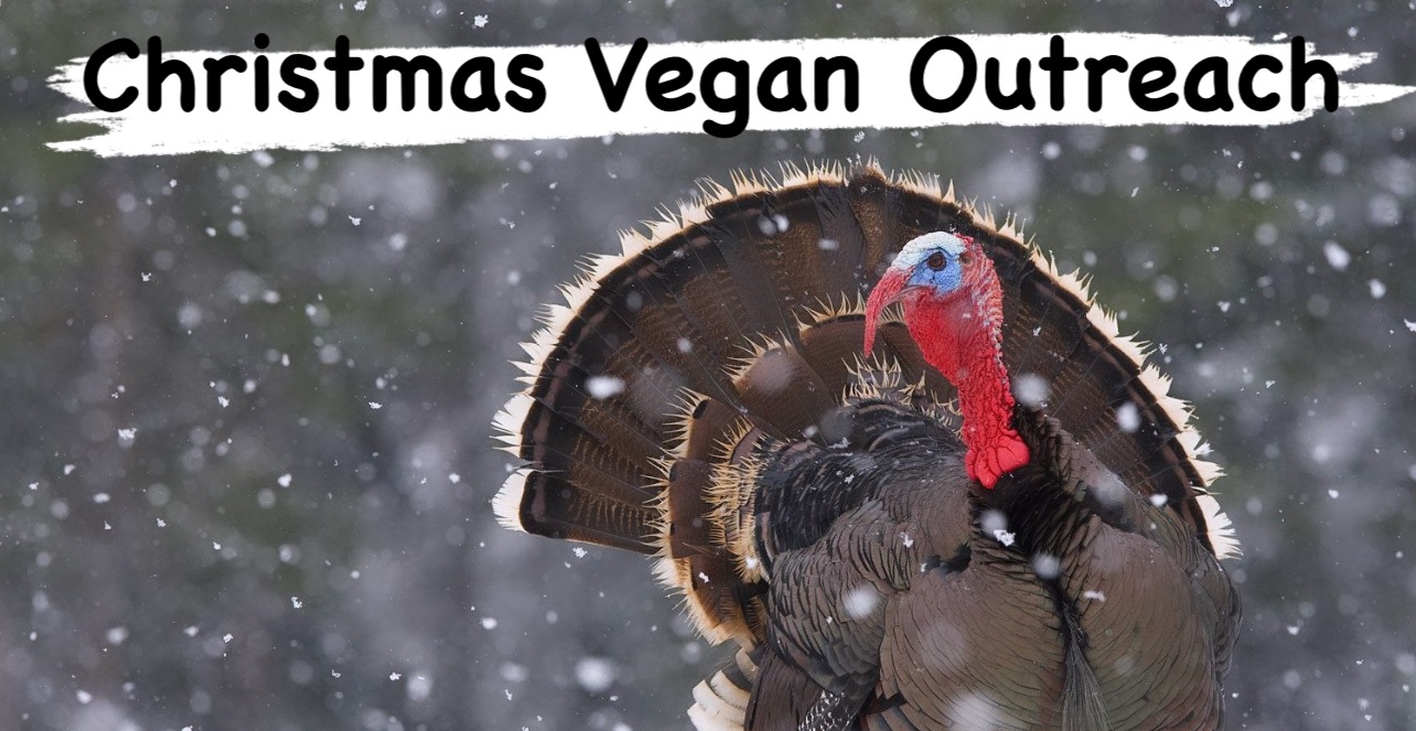 Croydon Vegan Outreach
