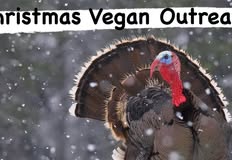 Croydon Vegan Outreach