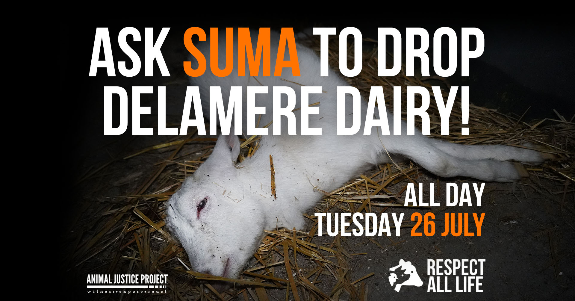 Animal Justice Project