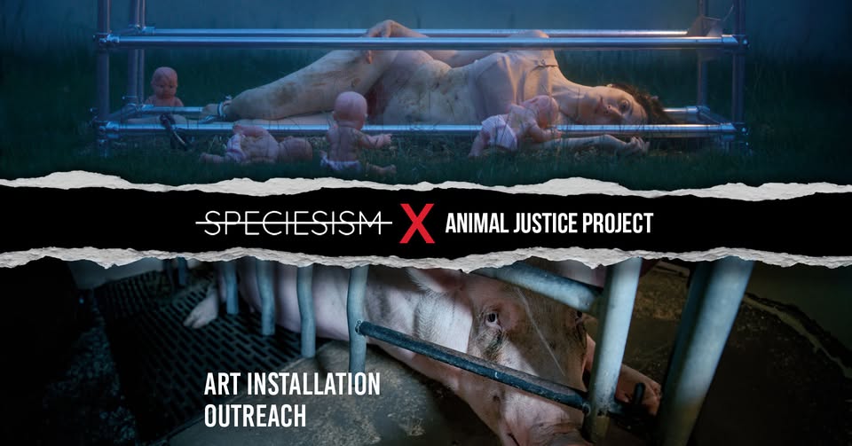 Animal Justice Project