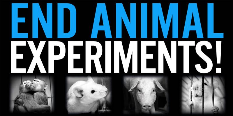 Animal Justice Project